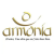 Armonia Stereo Logo