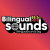 Bilingual Sounds - KCSN-HD3 Logo