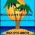 Beach Club Records Logo