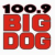 Big Dog 100.9 - CKTO-FM Logo