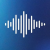 Blue Torch Radio Logo