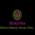 BollyHits Radio Logo