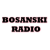 Bosanski Radio Logo