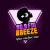 Breeze 90.9 FM Logo