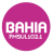 Bahia FM Sul Logo