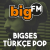 bigFM - SES Logo
