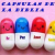 Capsulas de la Biblia Logo