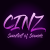 CINZ NET Radio Logo