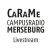 CaRaMe Campus Radio Merseburg Logo