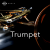 Calm Radio - Trumpet Logo