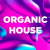 DFM - Organic House Logo