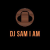 DJ Sam I Am 502 Logo