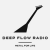 Deep Flow Radio Logo