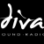 Diva Sound Radio Logo