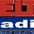 Delta Radio Logo