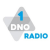 DNO Radio 1 Editie Zuidwest-Drenthe Logo