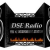 DSE Radio Logo