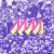 Dinamo.fm - Mmradyo Logo