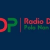 Disco Polo Non Stop FM Logo