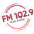 FM 102.9 Music Station Logo