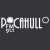 FM Pocahullo 91.1 Logo