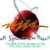 Full Spectrum Radio Logo