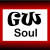 GrooveWave - Soul Logo
