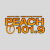 Great Radio - Peach 101.9 Logo