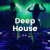 Hotmix - Deep House Logo