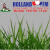 Holland FM Logo