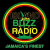 Island Buzz Radio Logo