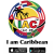 IAC.FM Logo