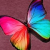 KIDS Logo