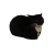 Maxwell Cat Radio Logo