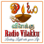 Megazone - Radio Vilakku Logo