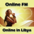 Online FM Logo