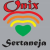 Onix Radio Sertaneja Logo