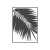 Palmera Blanca Radio Logo