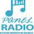 Panel Radio Logo