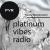 Platinum Vibes Logo