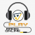 Play Radio Online Patso Logo