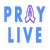 Pray Live Radio Logo