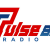 Pulse 880 Radio Logo
