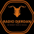 Radio Djerdan Logo