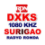RPN-DXKS Surigao - DXKS Logo