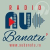 Radio Au Banatu' Logo