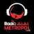 Radio Metropol Logo