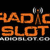 RadioSlot - Best Mix Slot Logo