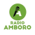 Radio Amboró Logo
