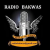 Radio Bakwas Logo